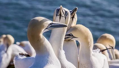 官方网站-开云平台：开启云原力，赋能企业数字化转型